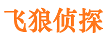 柞水外遇调查取证